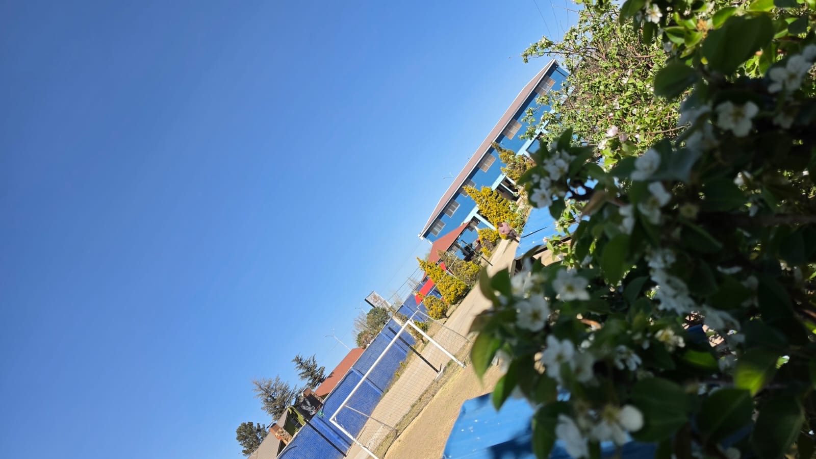 Área exterior del campus